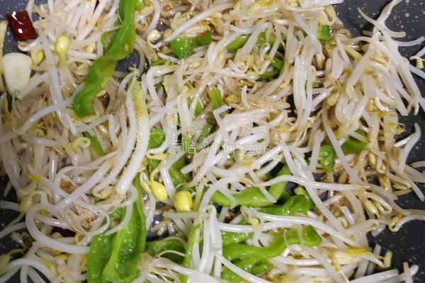 清炒豆芽的做法图解4