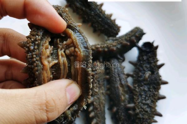 清炖海参的做法图解4