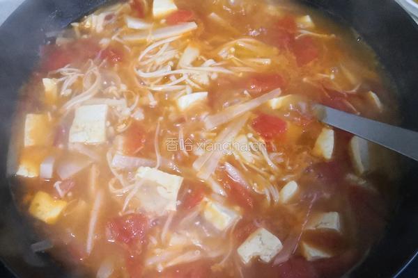 金针菇豆腐汤的做法图解10