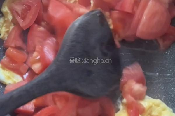 西红柿鸡蛋面的做法图解6