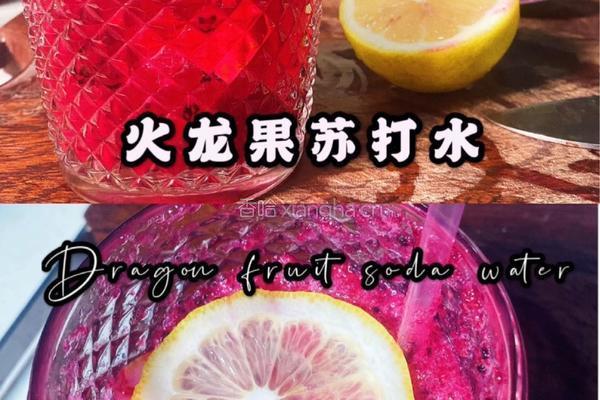 火龙果苏打水