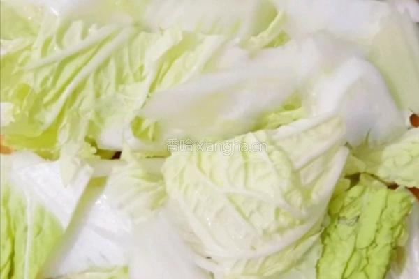 白菜炒粉条的做法图解3