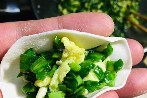 韭菜鸡蛋饺子的做法图解4