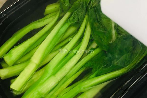 白灼菜心的做法图解2