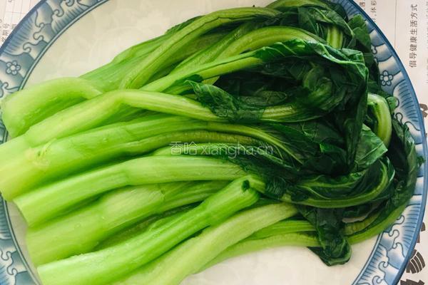 白灼菜心的做法图解3