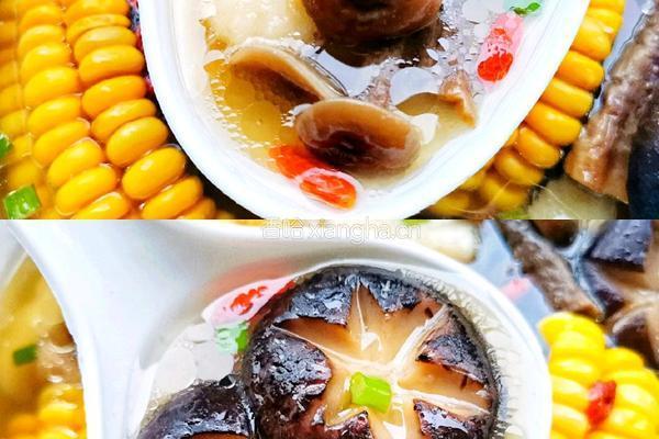 菌菇玉米筒子骨汤的做法图解6