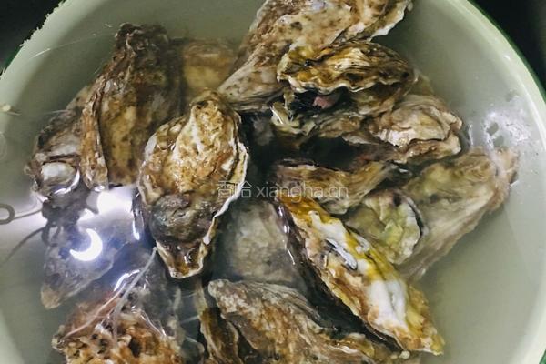 蒜蓉辣酱蒸生蚝的做法图解1