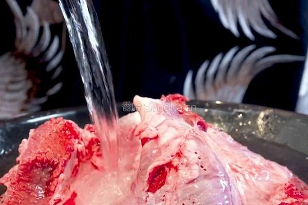 卤腱子肉（秘方）的做法图解4