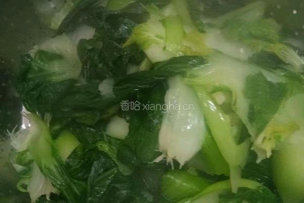 青菜香菇包的做法图解4
