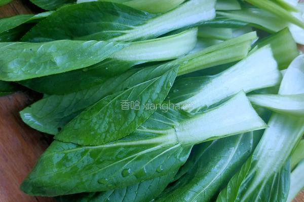 青菜肉丸豆腐汤的做法图解3