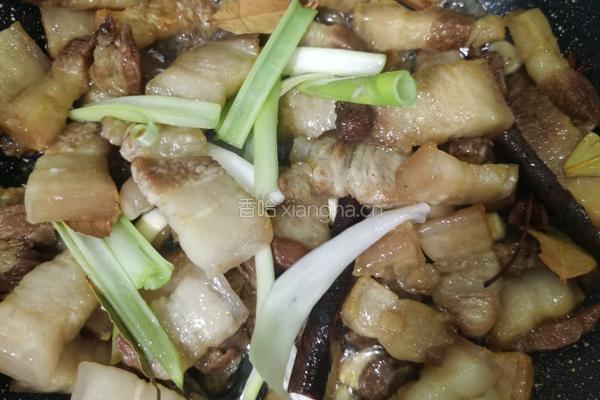 红烧肉的做法图解7