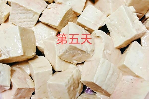 豆腐乳的做法图解2