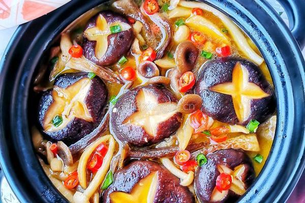 菌菇煲的做法图解5