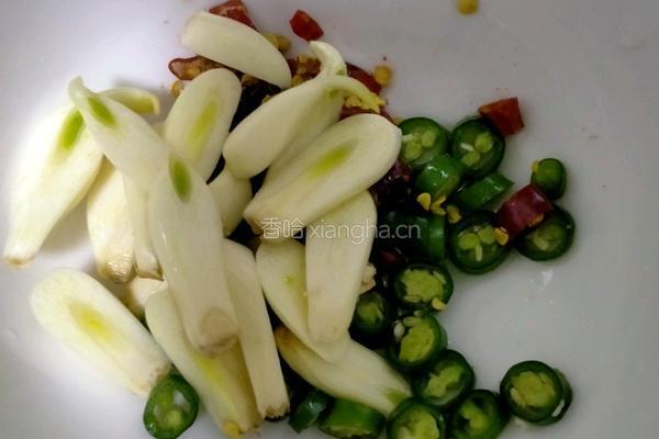 腌白萝卜的做法图解4