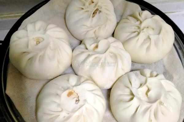肉包子的做法图解14