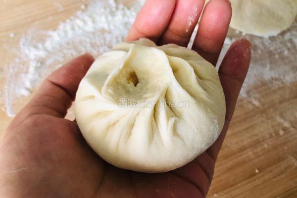 味美多汁的大肉包的做法图解20