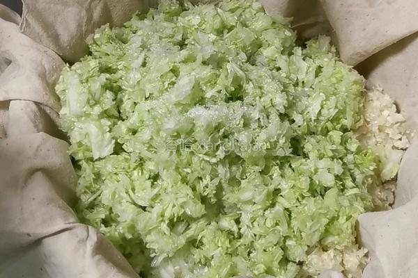 翡翠白菜饺子的做法图解7