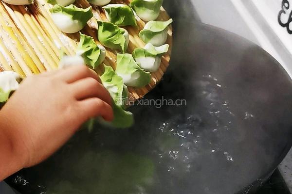 翡翠白菜饺子的做法图解21