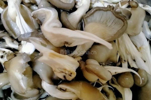 干炸平菇的做法图解1