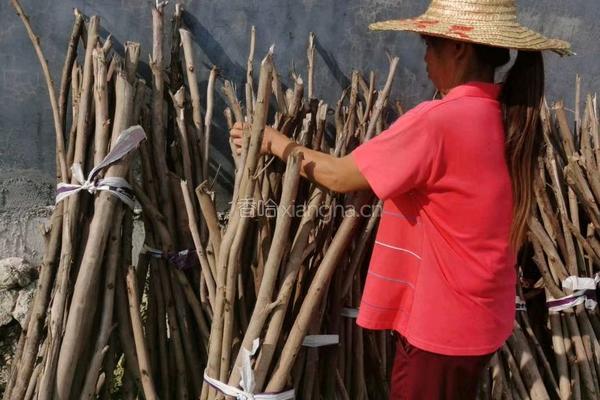 女人一定要吃的玉灵膏气血双补滋养心血的做法图解10