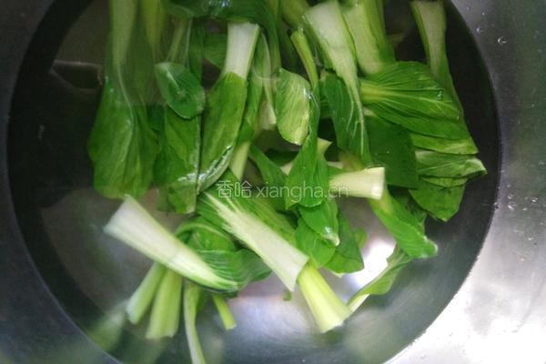 蒜蓉油菜的做法图解3