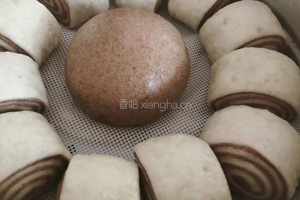 好吃的全麦馒头的做法图解13