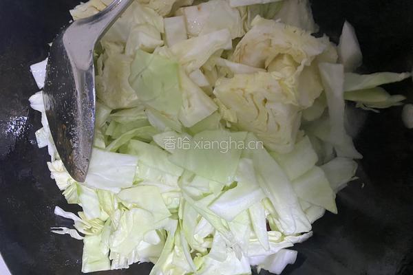 甘蓝菜炒五花肉的做法图解4