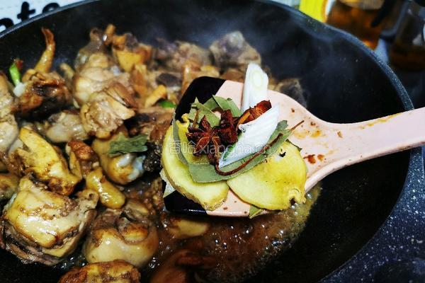 鸡肉炖土豆的做法图解13
