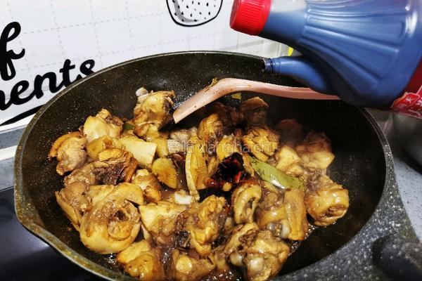 鸡肉炖土豆的做法图解15