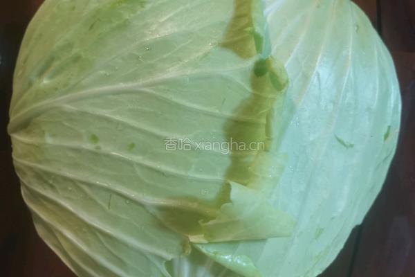 糖醋白菜的做法图解1