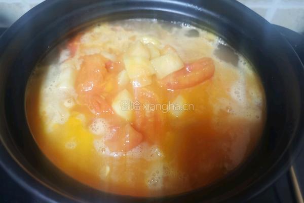 番茄土豆炖排骨的做法图解9
