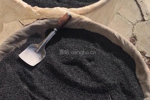 九蒸九晒黑芝麻丸的做法图解1