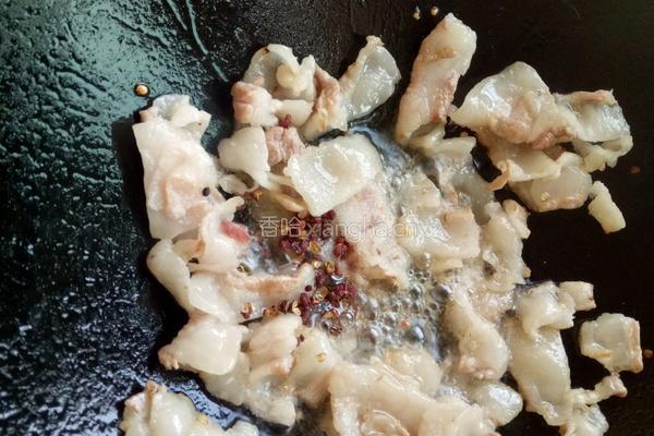 小炒肉的做法图解6