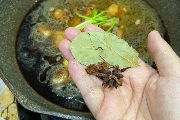 浓油赤酱版红烧排骨的做法图解10