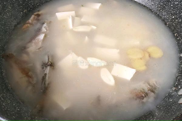 野鲫鱼老豆腐汤的做法图解8