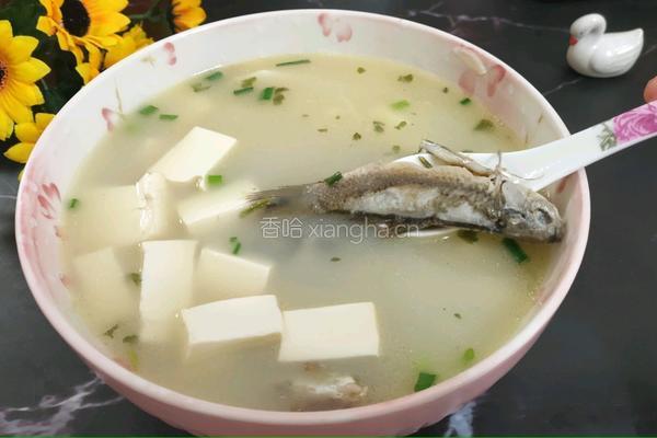野鲫鱼老豆腐汤的做法图解10