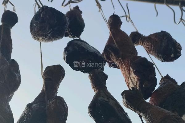 教你做酱鸡腿的做法图解5