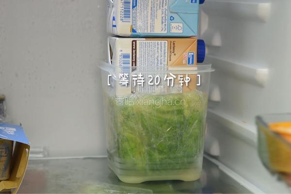 法式蔬菜冻的做法图解5