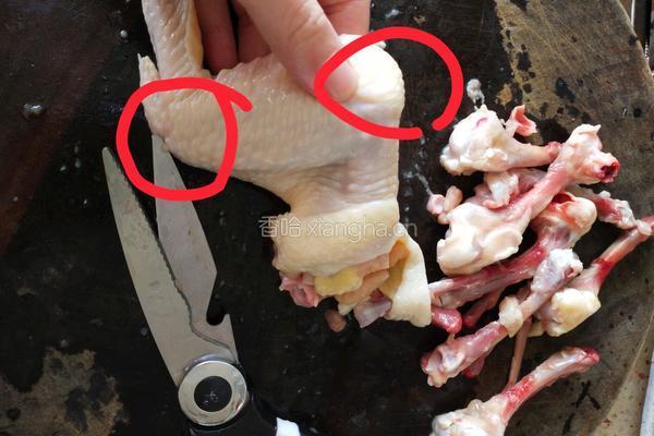 鸡包饭的做法图解3