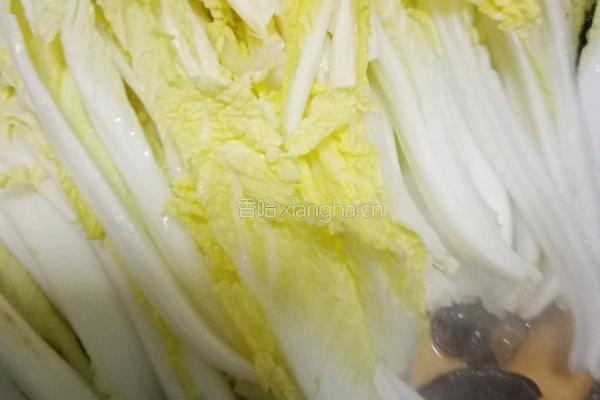 豆菜耳的做法图解9