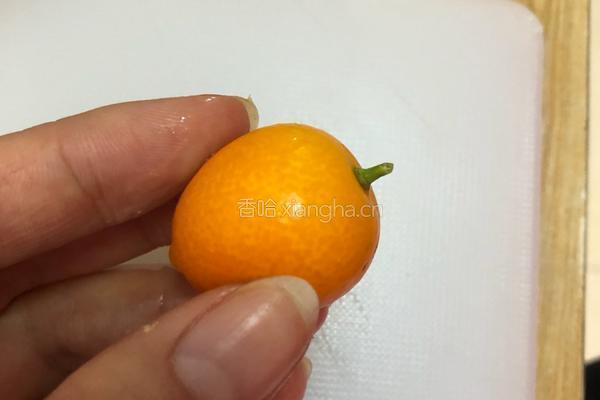 金桔膏的做法图解1