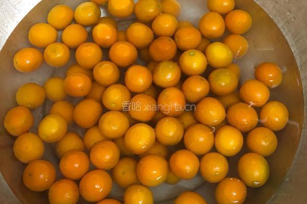 金桔膏的做法图解2