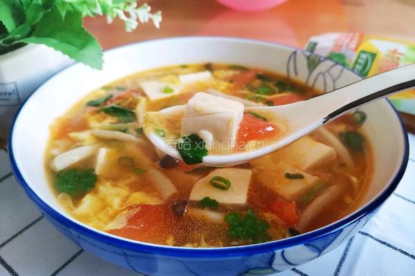 西红柿豆腐菌菇汤的做法图解16
