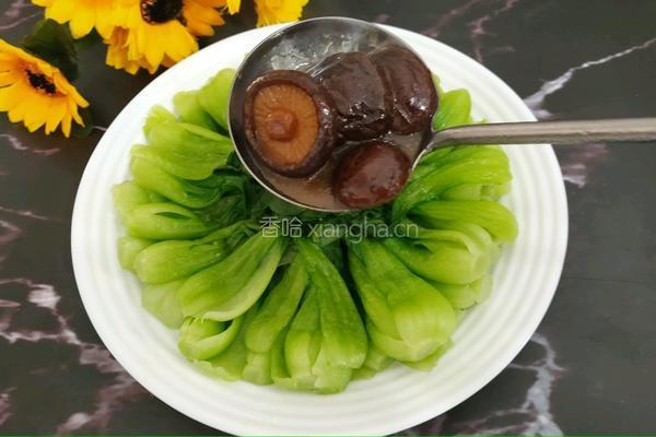 香菇上海青的做法图解12