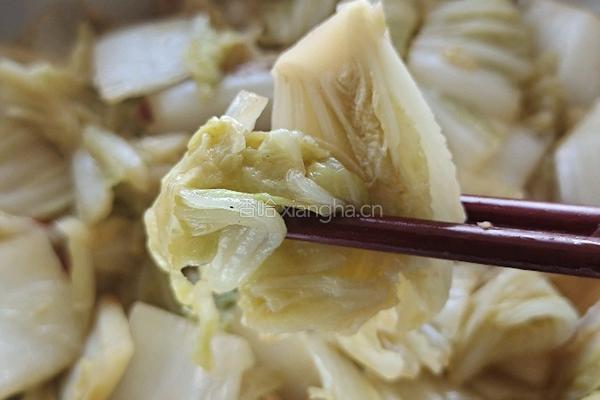 净炒白菜的做法图解8