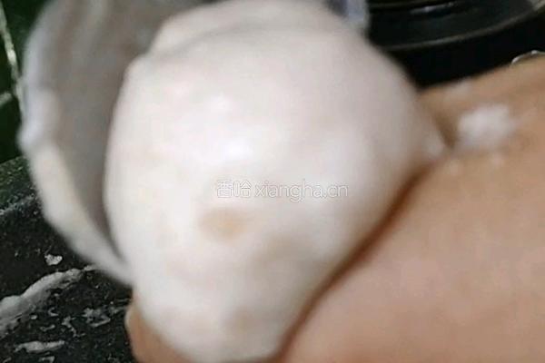 自制虾圆的做法图解9