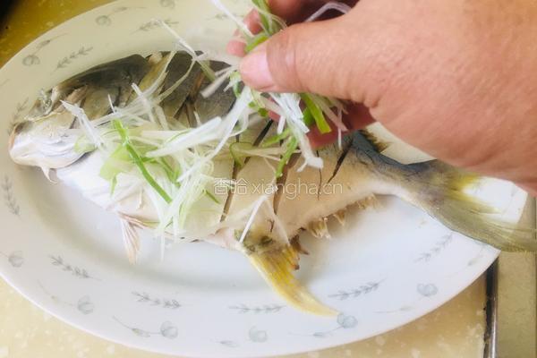 清蒸金鲳鱼的做法图解3