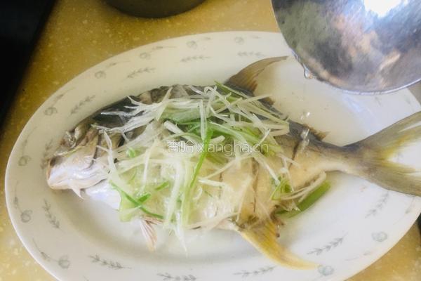 清蒸金鲳鱼的做法图解4