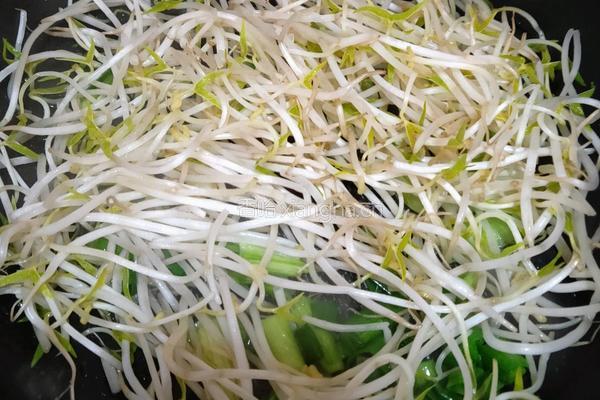 清炒黄豆芽的做法图解3
