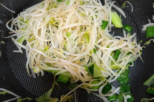 清炒黄豆芽的做法图解4